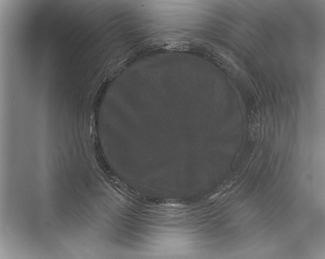 X0000072540748200608111812