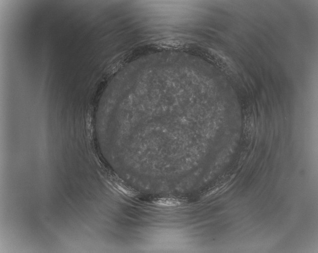 X0000072540749200608111812