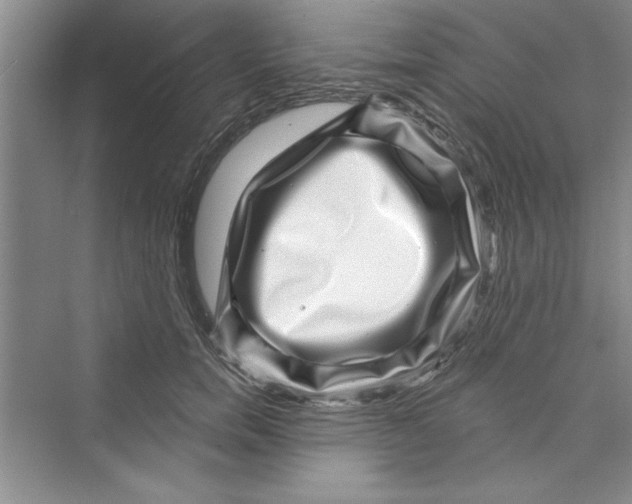 X0000072540750200608111812