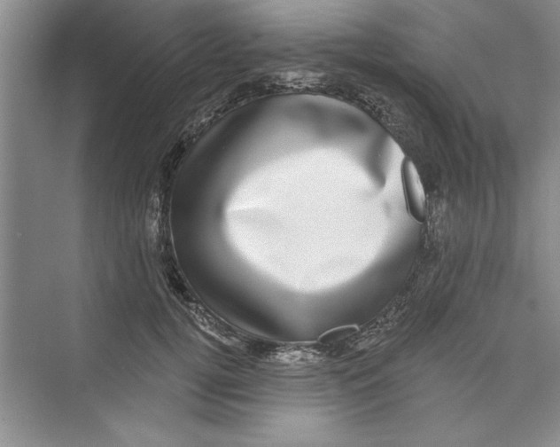 X0000072540752200608111812