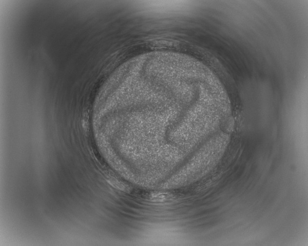 X0000072540753200608111812