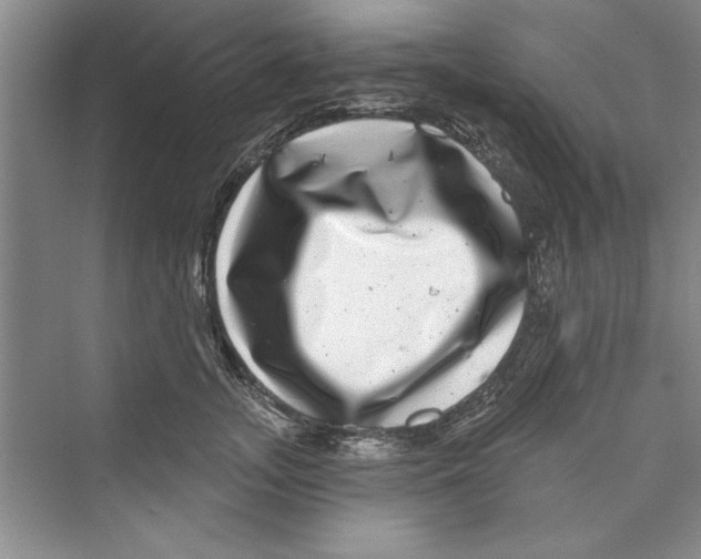 X0000072540755200608111812