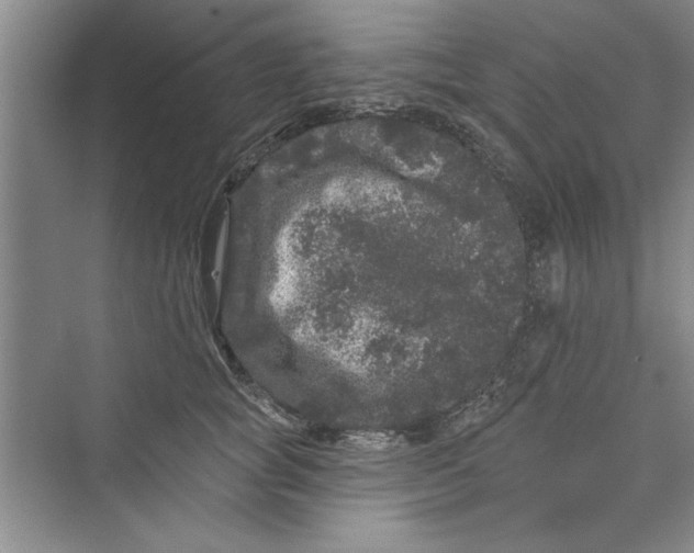 X0000072540757200608111812