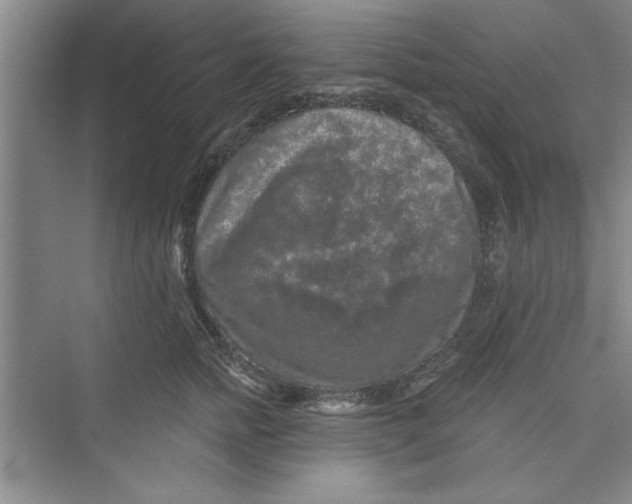 X0000072540758200608111812