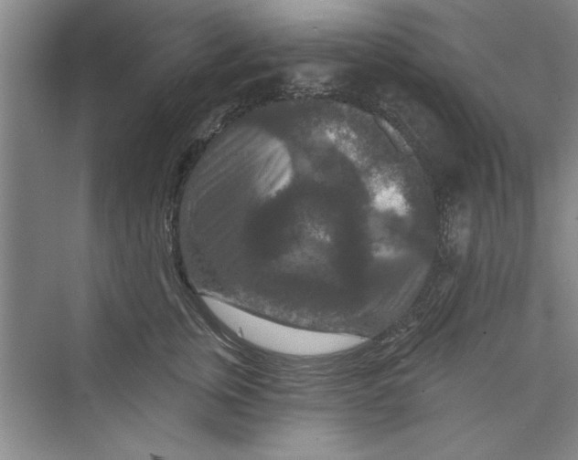 X0000072540759200608111812