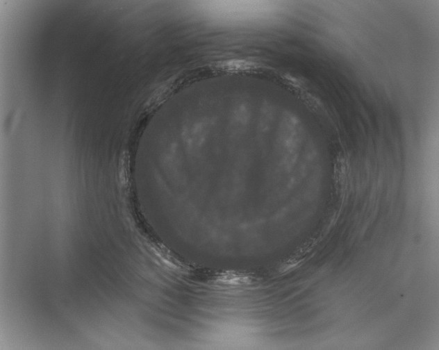 X0000072540760200608111812