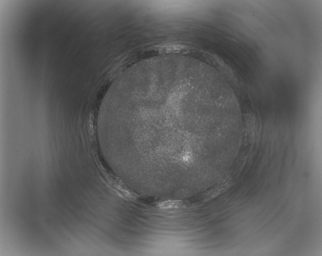 X0000072540761200608111812