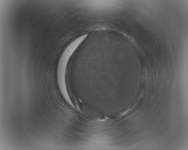 X0000072540762200608111813