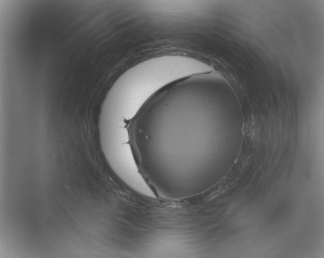 X0000072540763200608111813