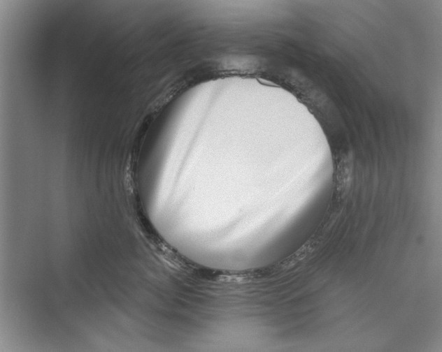 X0000072540764200608111813