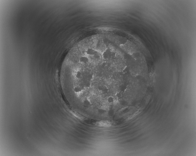 X0000072540765200608111813