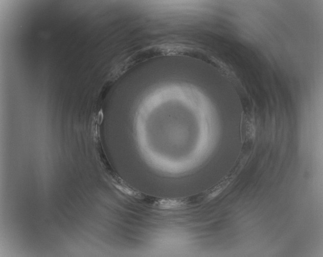 X0000072540766200608111813