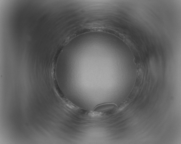 X0000072540767200608111813