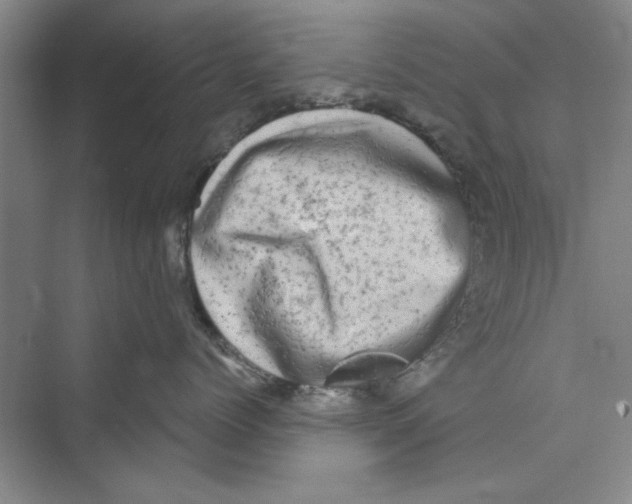 X0000072540768200608111813