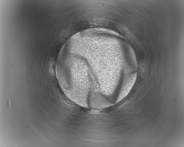 X0000072540770200608111812