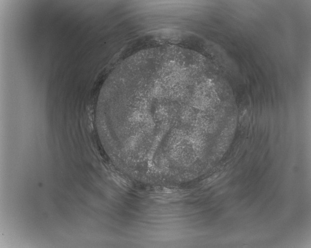 X0000072540772200608111812