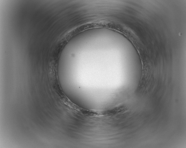 X0000072540773200608111812