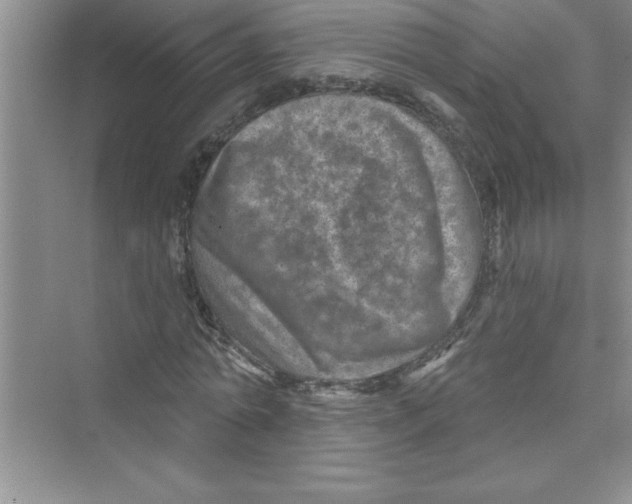 X0000072540774200608111812