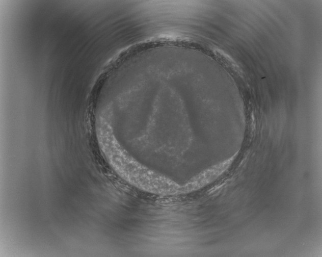 X0000072540776200608111812