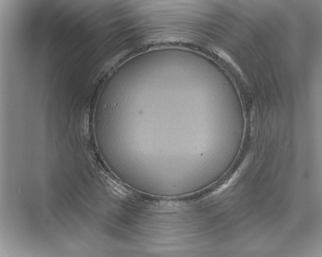 X0000072540777200608111812