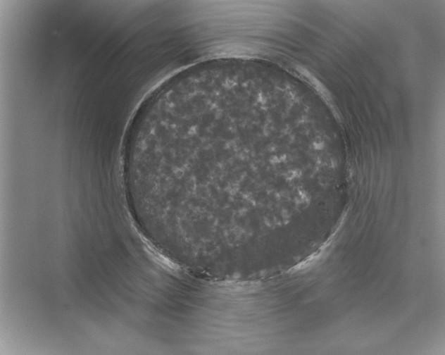 X0000072540779200608111812