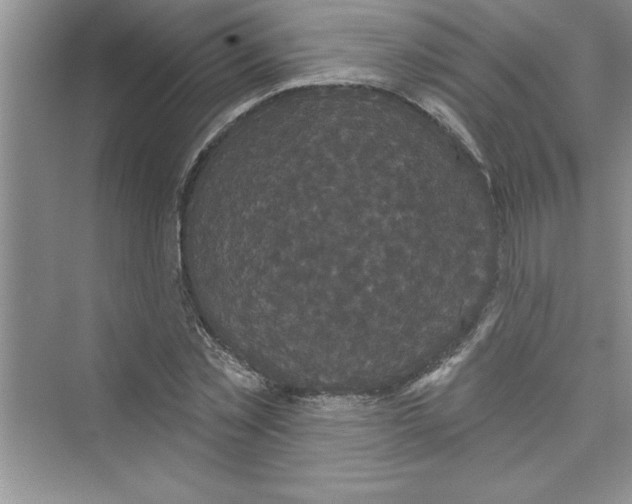 X0000072540781200608111812