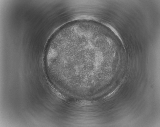 X0000072540783200608111812