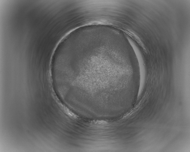 X0000072540784200608111812