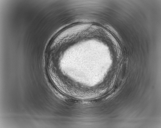 X0000072540787200608111811