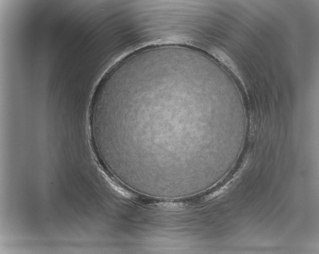 X0000072540789200608111811