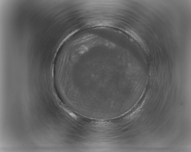 X0000072540790200608111811