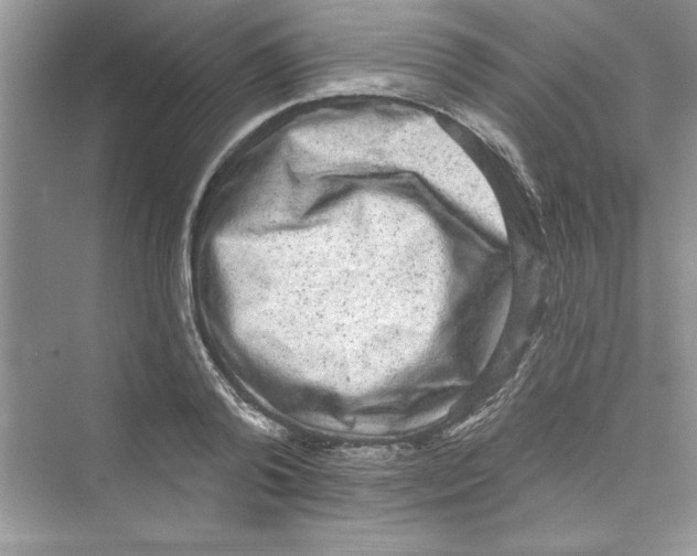 X0000072540792200608111811