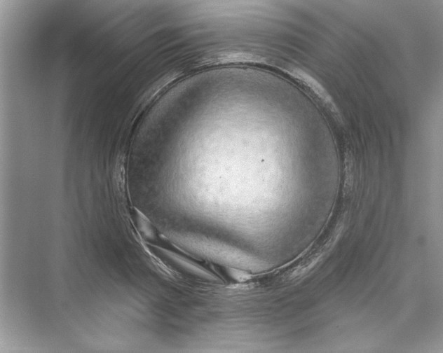 X0000072540793200608111811