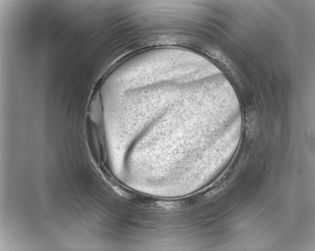 X0000072540794200608111811