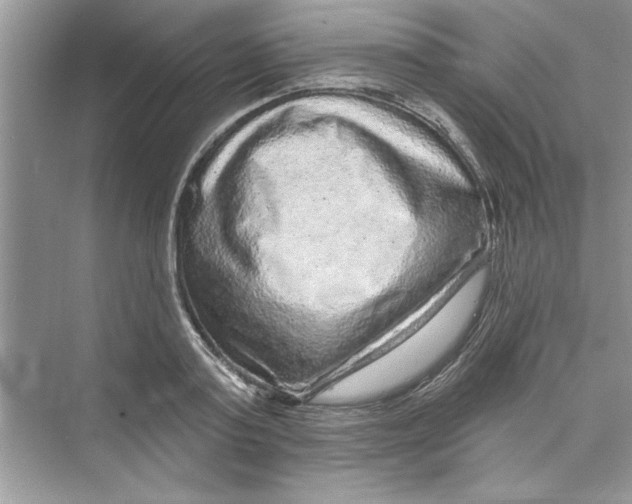 X0000072540795200608111811