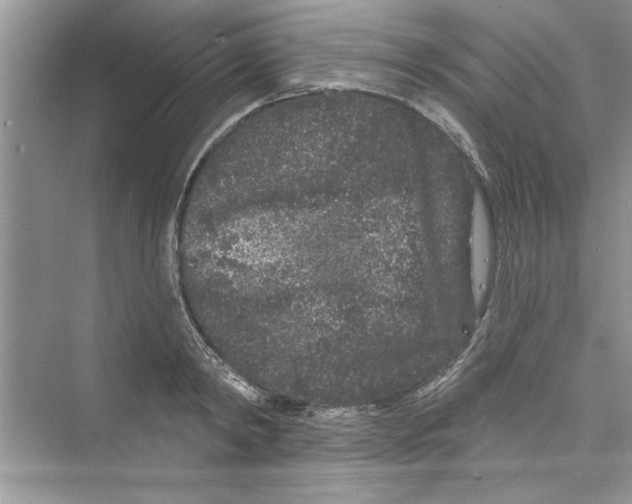 X0000072540798200608111811