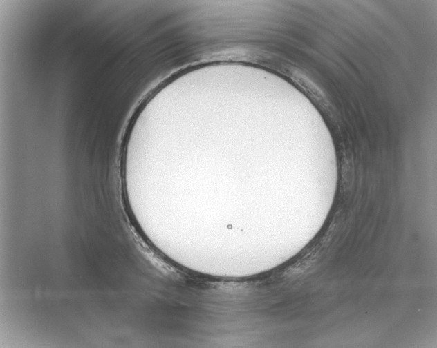 X0000072540800200608111811