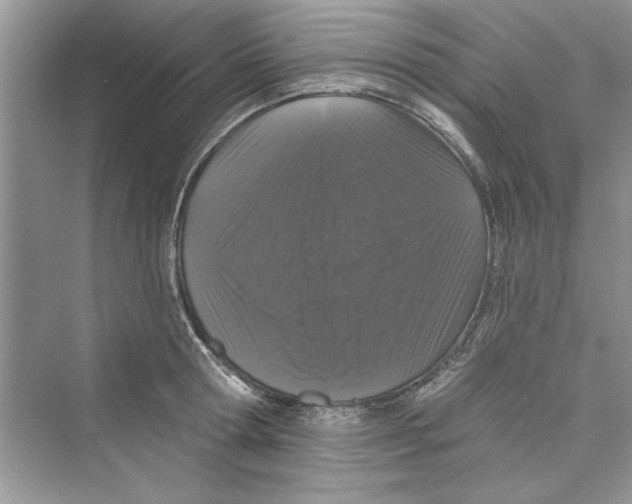 X0000072540802200608111811