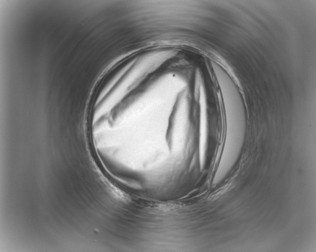 X0000072540803200608111811