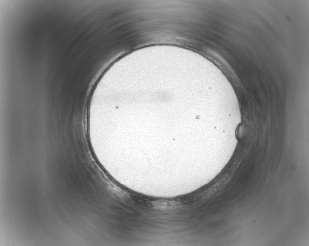 X0000072540804200608111811