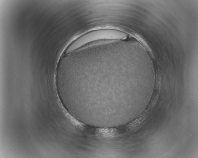 X0000072540805200608111811