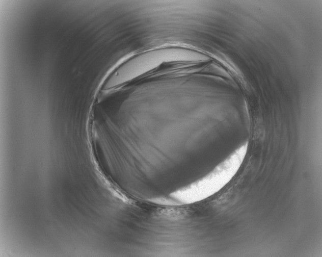 X0000072540806200608111811