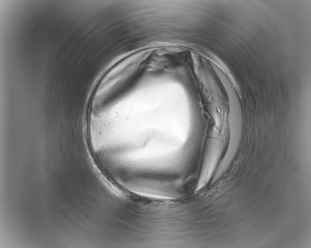 X0000072540811200608111811