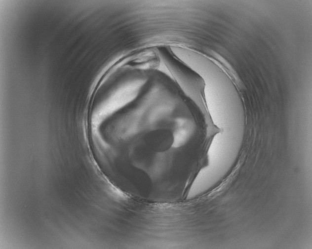 X0000072540812200608111811