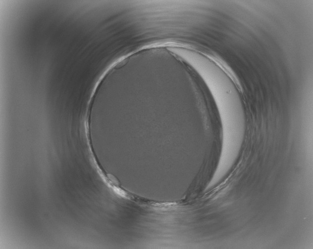 X0000072540813200608111811