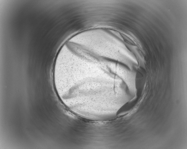 X0000072540814200608111811