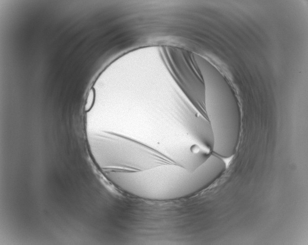 X0000072540816200608111811