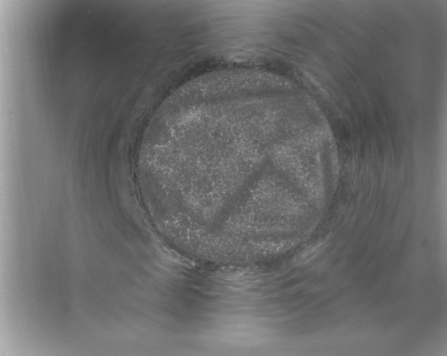 X0000072540817200608111810