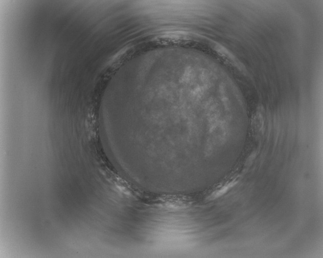 X0000072540822200608111810