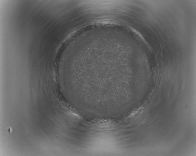 X0000072540823200608111810